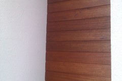 IMAG0356