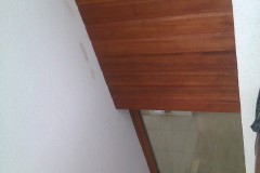 IMAG0359