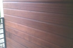 IMAG0360