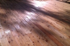 IMAG0385