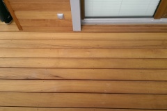 IMAG1031