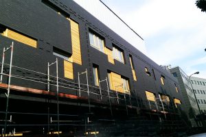 Elewacje drewniane - elewacje Modrzew syberyjski DKKadr profil romb