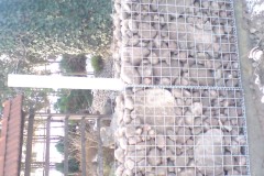 DSC00153