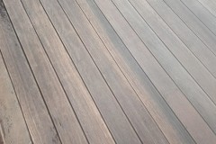 32212741_1739701302815915_2388233117744758784_n