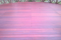 2012-08-09-231