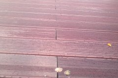 2012-08-09-245