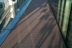 IMAG1598